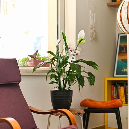 Apartment Mares 斯普利特 外观 照片